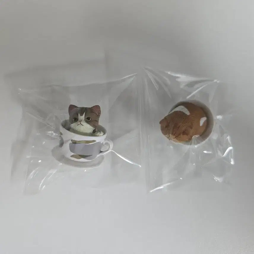 [BUNJANG] Teacup Cat Gacha Figures Set / 티컵 고양이 피규어 가챠 2개 일괄