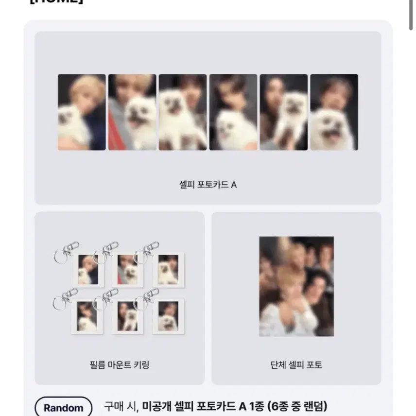 [BUNJANG] BOYNEXTDOOR Regular Album Split Set / 최저가) 재현제외 다 가능 보넥도 home 위버스 일반반 분철