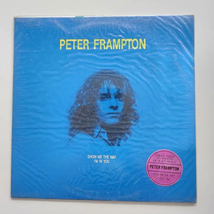 [BUNJANG] Peter Frampton LP - Sealed / PETER FRAMPTON LP / 미개봉