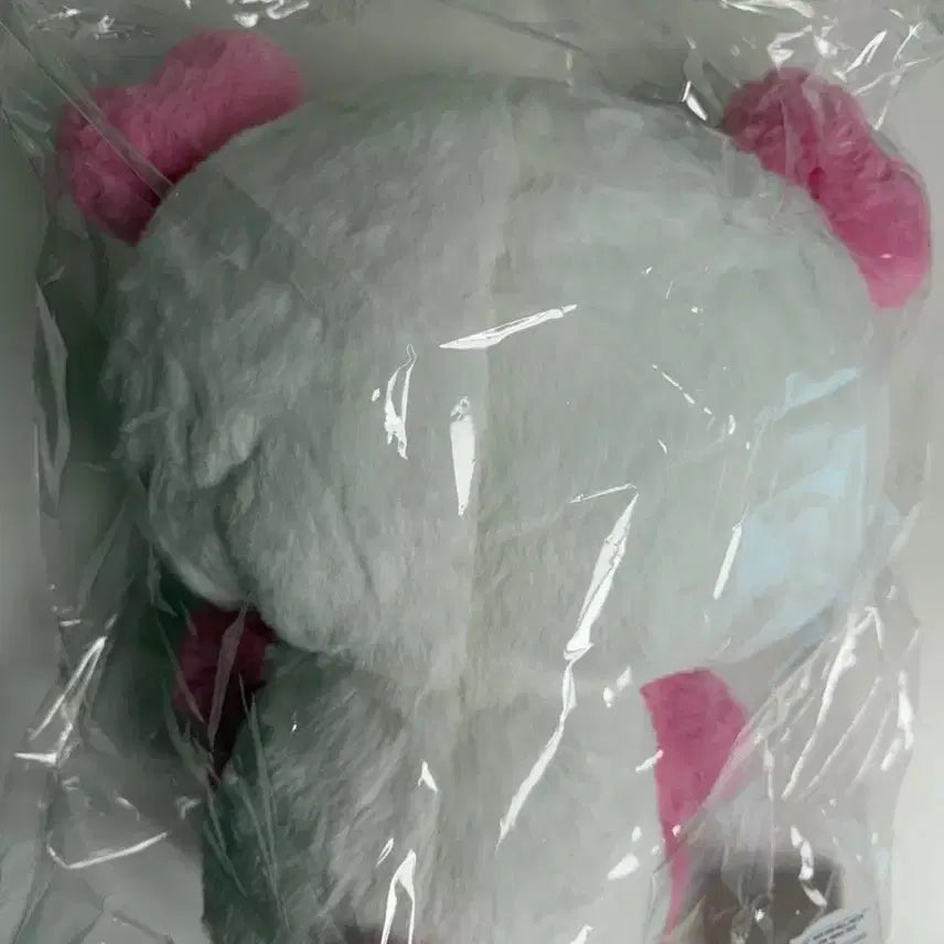 [BUNJANG] NCT WISH 30cm Wishtoll Pangyi / 엔시티위시 30cm 위시돌 팡이