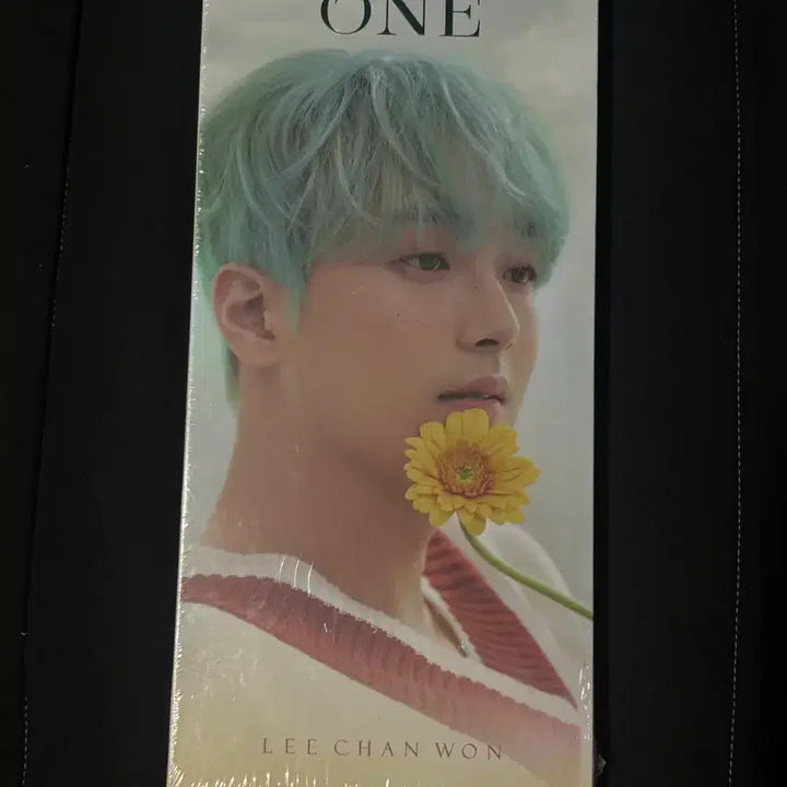 [BUNJANG] Lee Chan Won 1st Album ONE / 이찬원 1집 앨범 ONE