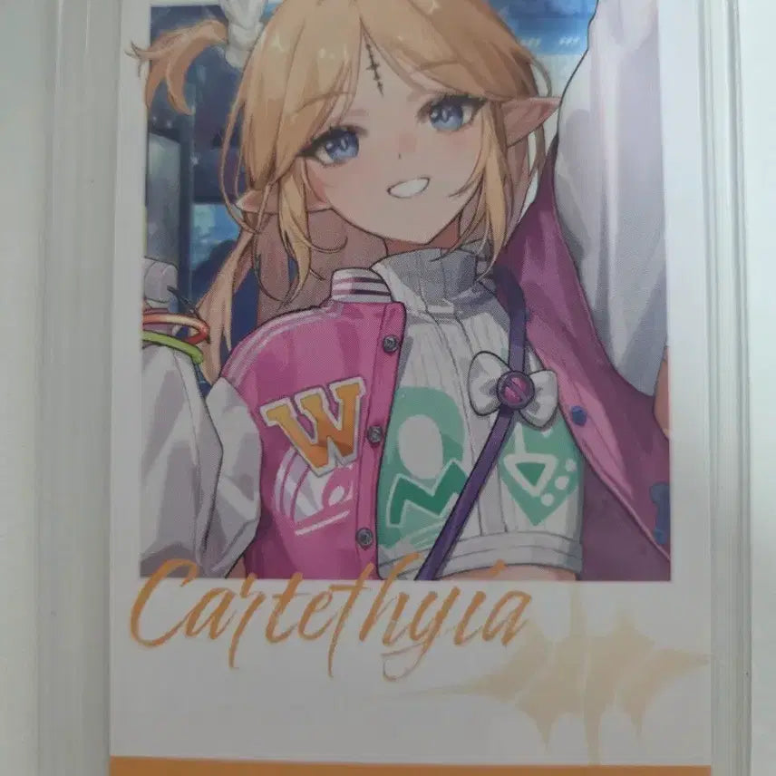 [BUNJANG] Cartisia Campus Photocard / 명조 띵조캠퍼스 카르티시아 포토카드