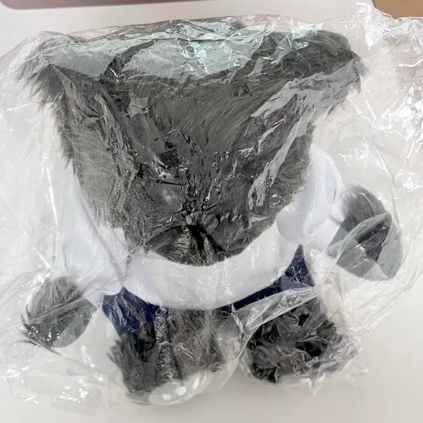 [BUNJANG] Jujutsu Kaisen Yuta Okkotsu Jujubebe Plush (Large, Sealed) / 주술회전 옷코츠 유타 쥬쥬베어 누이 미개봉