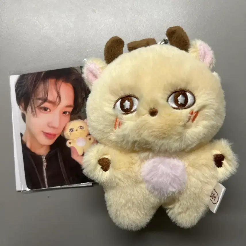 [BUNJANG] Park Ji Hoon Somimi Doll Photocard Bundle Set / 박지훈 소심이 인형 판매
