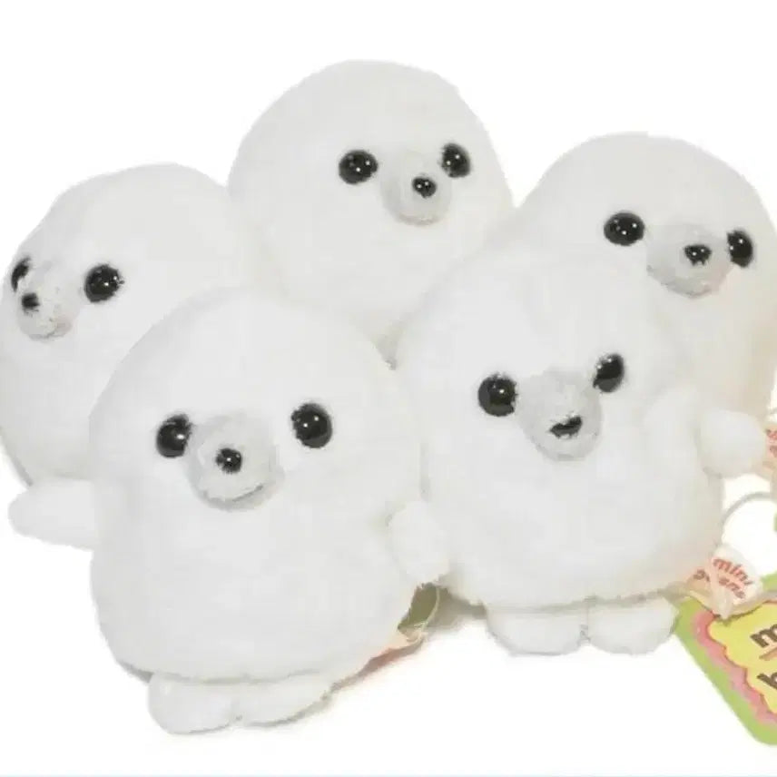 [BUNJANG] Mini Beans Seal Dolphin Plush Set / 미니빈즈 물개 돌고래 새상품