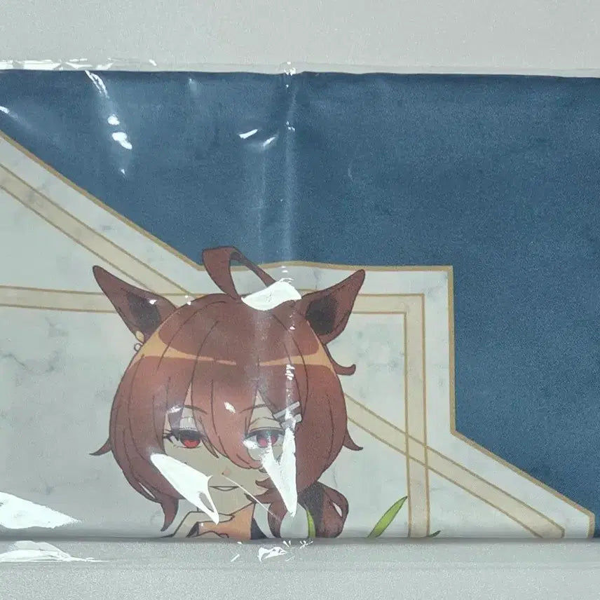 [BUNJANG] Uma Musume Pretty Derby Movie Theater Edition Special Edition Cel Fabric Poster Special - Manhattan Cafe &amp; Mejiro Tachyon / 우마무스메 극장판 블루레이 천 포스터 타키온 카페