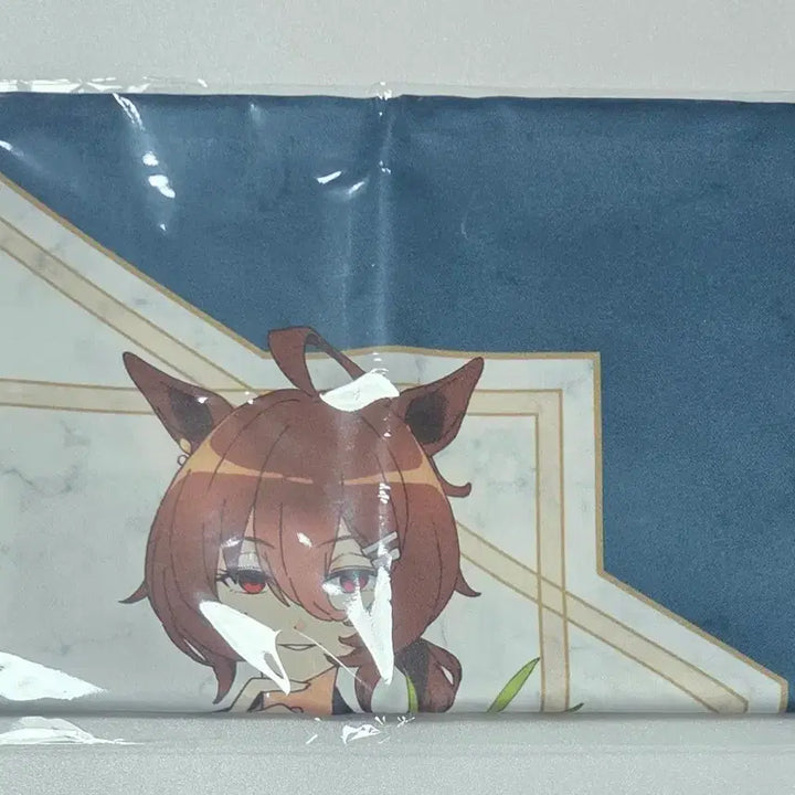 [BUNJANG] Uma Musume Pretty Derby Movie Theater Edition Special Edition Cel Fabric Poster Special - Manhattan Cafe &amp; Mejiro Tachyon / 우마무스메 극장판 블루레이 천 포스터 타키온 카페