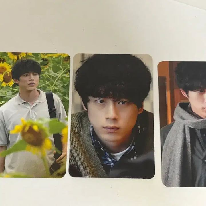 [BUNJANG] Sakaguchi Kentaro Final Piece Photocard Stage Greeting / 사카구치 켄타로 파이널 피스 포카 무대인사