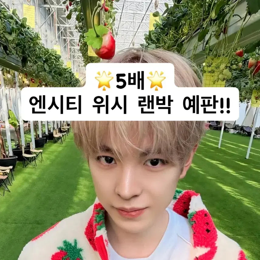 [BUNJANG] NCT WISH 5x Random Box / 엔시티 위시 5배 랜박!