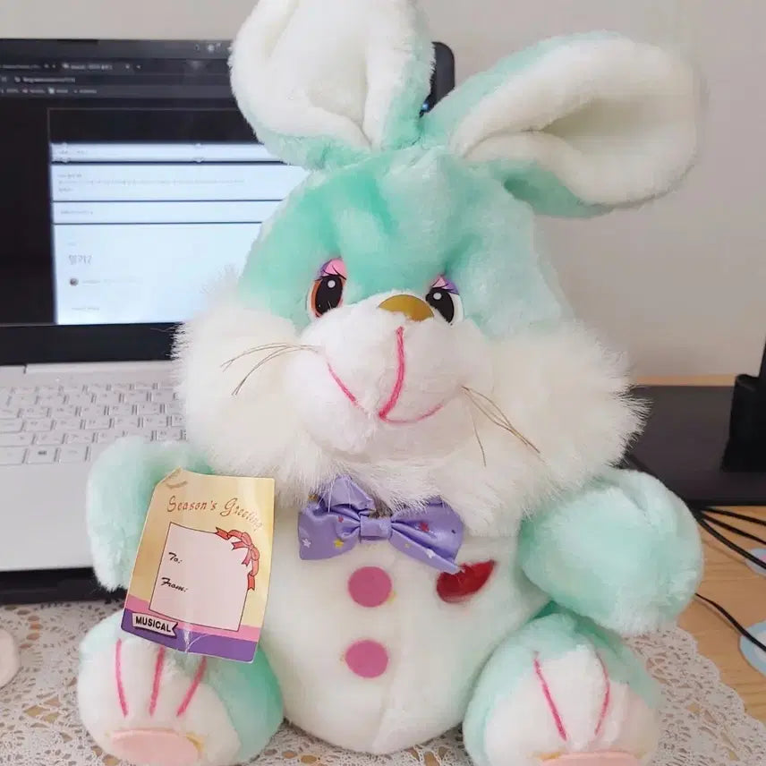 [BUNJANG] Vintage 80s Mint Bunny Music Box Doll / 가격고정) 80s 고전 빈티지 민트토끼 인형