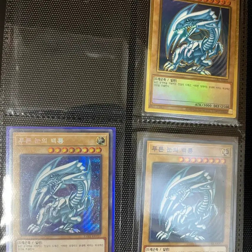 [BUNJANG] Blue-Eyes White Dragon 3 Card Set / 푸른 눈의 백룡 3장 세트