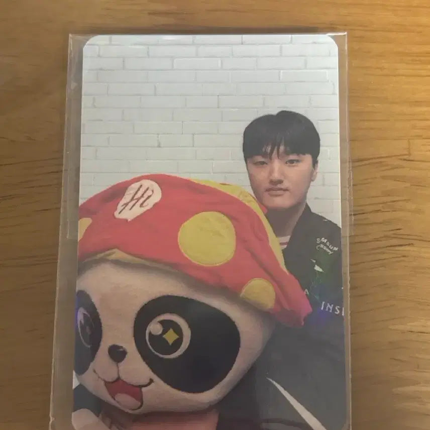 [BUNJANG] Faze Photocard Haidilao / 페이즈 포카 하이디라오