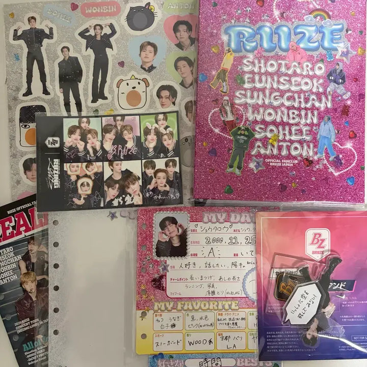 [BUNJANG] RIIZE Japan Fanclub Exclusive Goods Eunseok Acrylic Stand / 라이즈 일본 재팬 팬클럽 특전