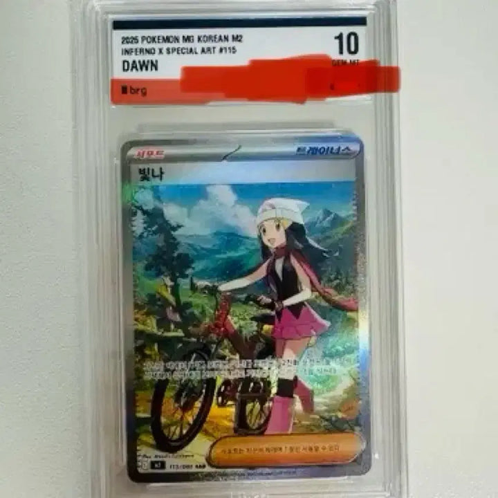 [BUNJANG] Pokemon TCG Inferno X Special Art 