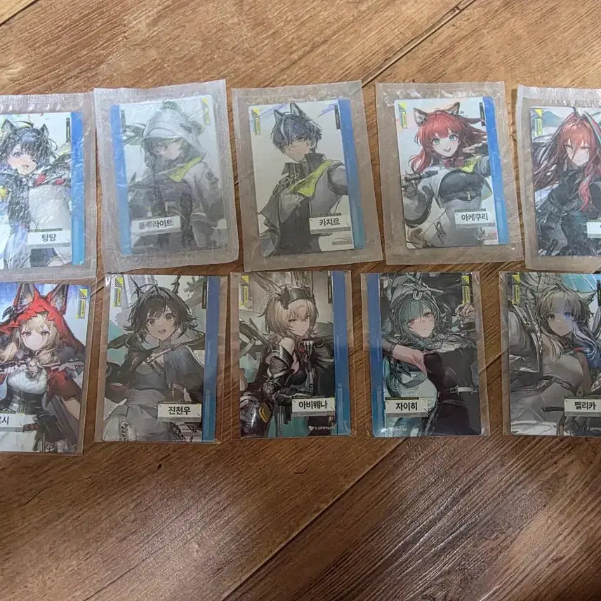 [BUNJANG] Endfield Photocard Bundle Set (10 Types) / 엔드필드 포토카드 일괄 판매합니다 10종