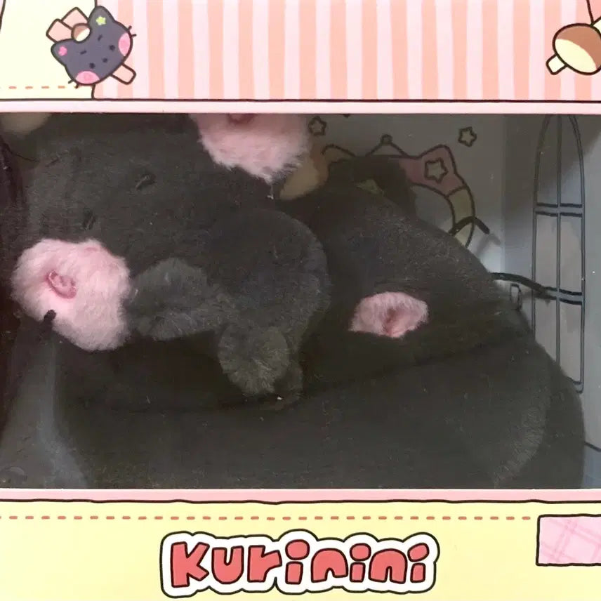 [BUNJANG] Wishnini Kulinini Room Plush Set Photocard Riku / 위시니니 쿠리니니 룸 플러시 세트 포카 리쿠