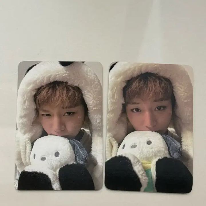 [BUNJANG] Park Jihoon Pochacco Photocard Set (2 Types) / 박지훈 포차코 포카 2종