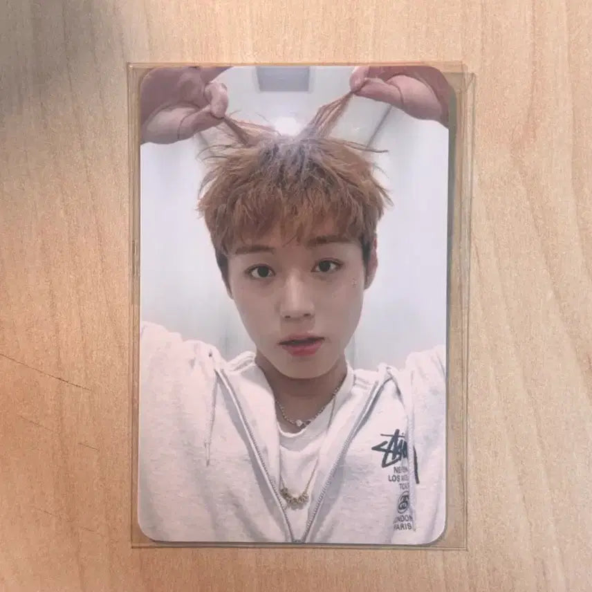 [BUNJANG] Park Jihoon Fancon Slogan Photocard / 박지훈 팬콘 슬로건 포카