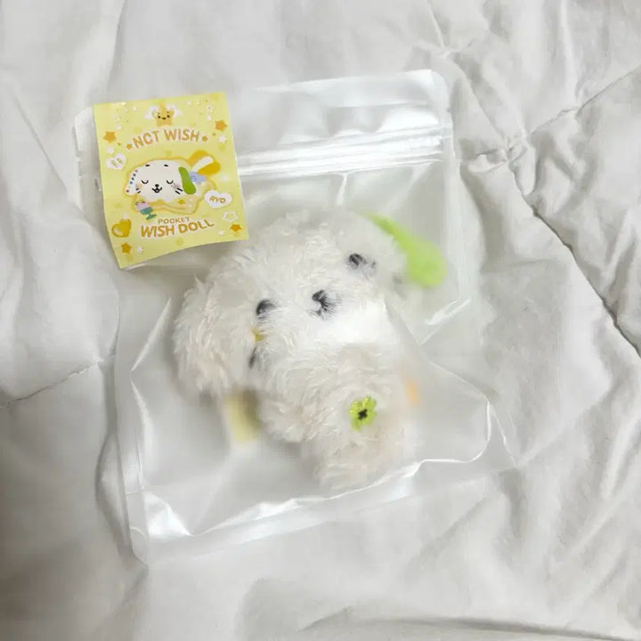 [BUNJANG] Pocket Wish Doll Ryon Ryon Ryoo Pangy Kuri Bubble Cat Sioning Daeng Treever Sealed / 미개봉 포켓위시돌 룐룐이 료 팡이 쿠리 버블냥 시오닝 댕트리버