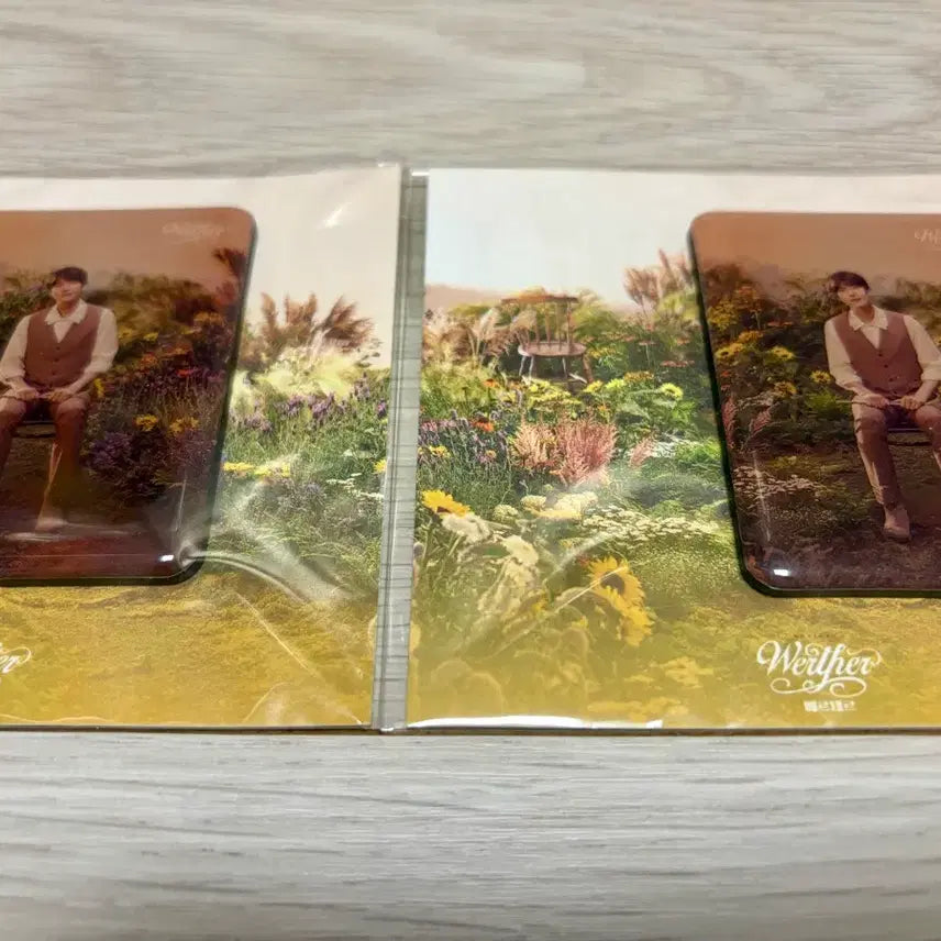 [BUNJANG] Musical Werther Kyuhyun Magnet (Sealed) / 뮤지컬 베르테르 규현 자석 미개봉 판매 규베르