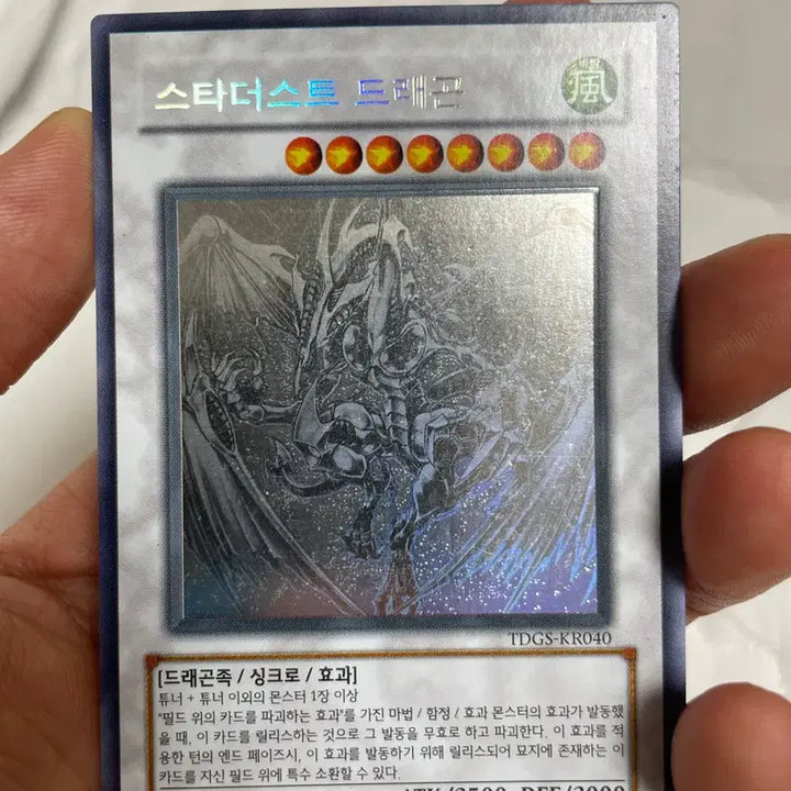 [BUNJANG] Stardust Dragon Holo / 스타더스트 드래곤 홀로