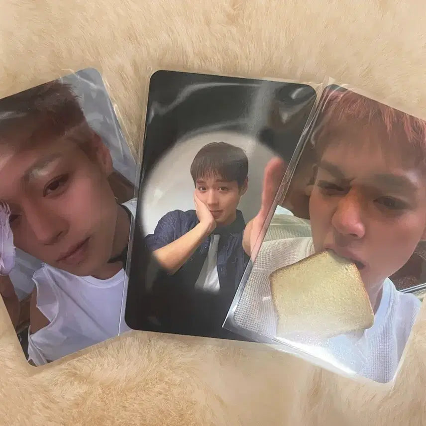 [BUNJANG] Park Jihoon Photocard Bundle Set / 박지훈포카(일괄)