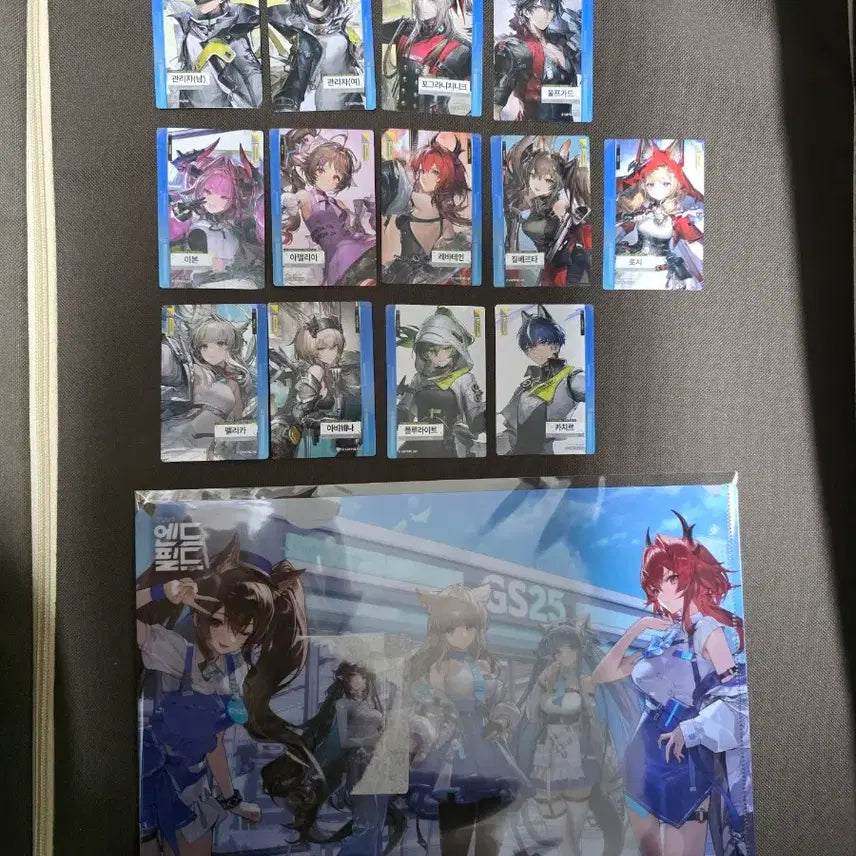 [BUNJANG] Arknights Endfield Collaboration Photocard Clear File Bundle Set / 명일방주 엔드필드 콜라보 포토카드 클리어파일 판매