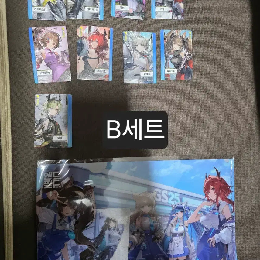 [BUNJANG] Arknights Endfield Collaboration Photocard Clear File Bundle Set / 명일방주 엔드필드 콜라보 포토카드 클리어파일 판매