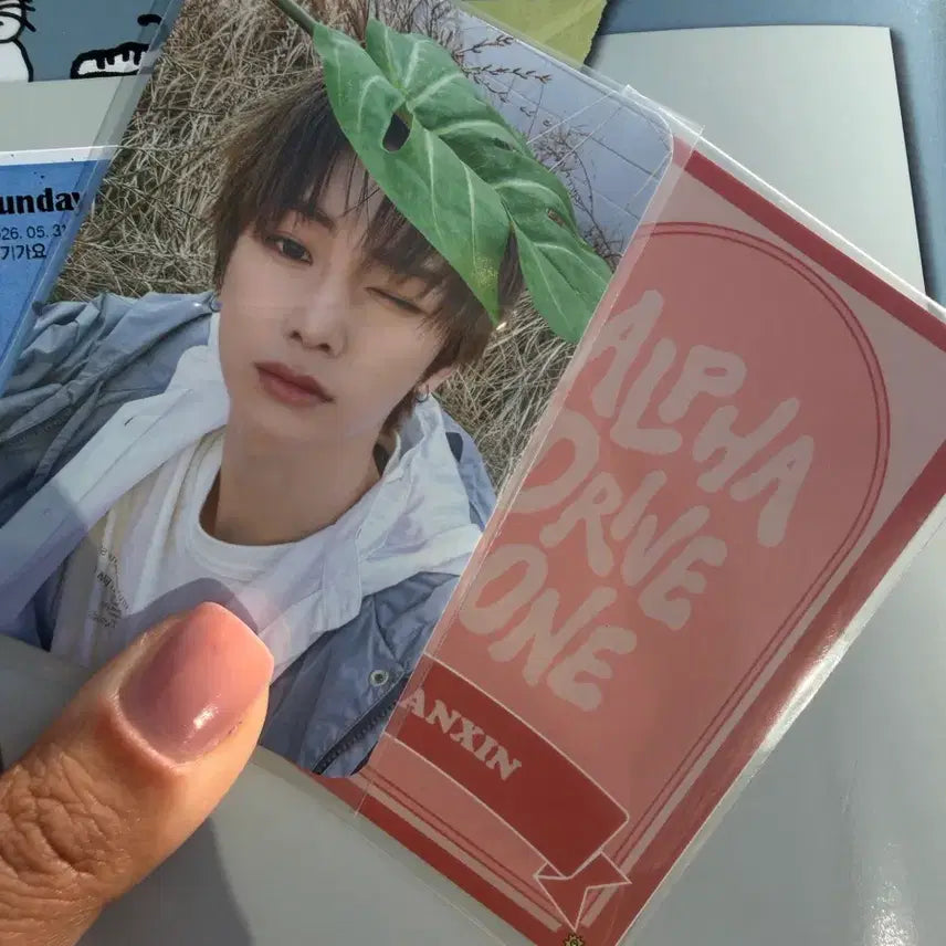 [BUNJANG] ALDI ONE OMG Official Photocard Bundle Set / 알디원 안신 OMG 공방 포카 ald1 2주차 부적 카드 일괄