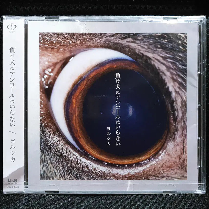 [BUNJANG] Yorushika "Encore wa Iranai" CD Sealed New / 요루시카 패배자에게 앵콜은 필요 없어 CD 미개봉 신품