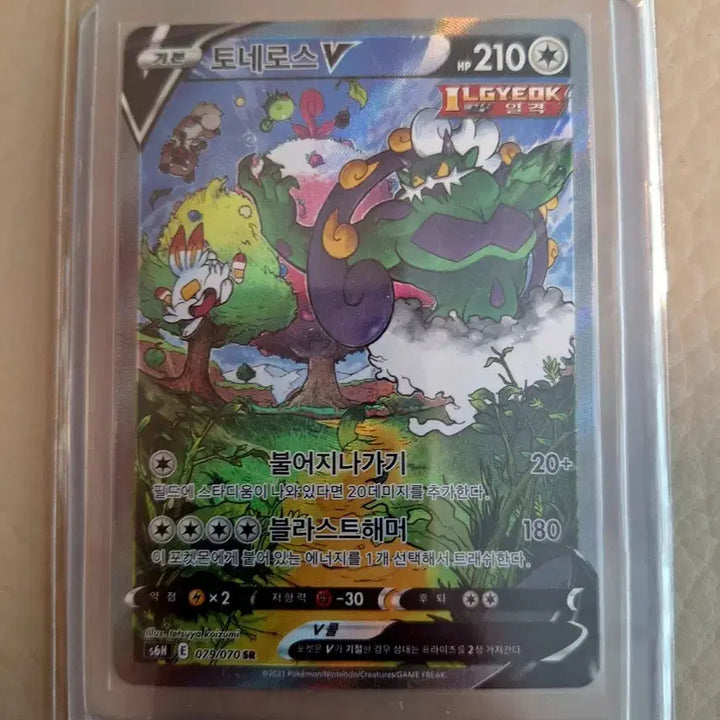 [BUNJANG] Tornadus V 079/070 SR Pokemon Card / 토네로스 V 079/070 SR 포켓몬 카드
