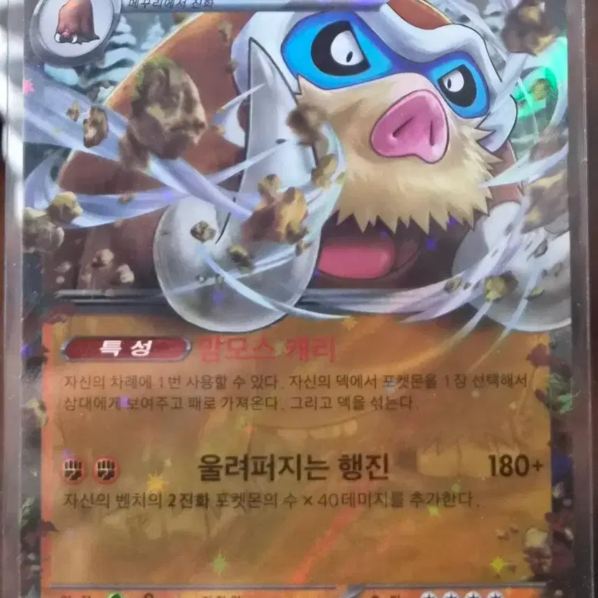 [BUNJANG] Pokemon Mammo Ice-cream ex RR / 포켓몬 카드 맘모꾸리 ex RR