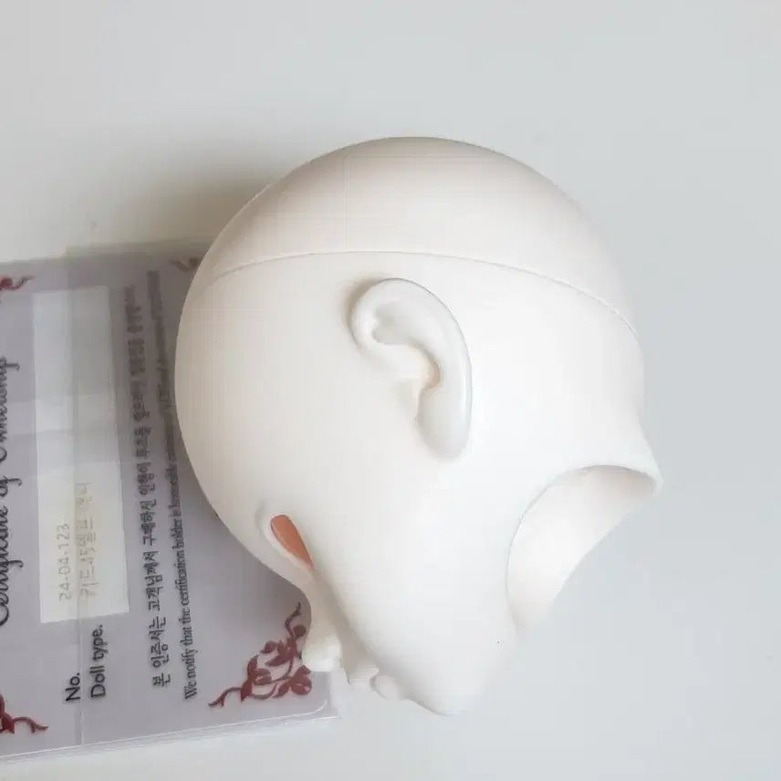 [SOLD OUT] 구체관절인형 루츠 키드델프 애니 msd 헤드