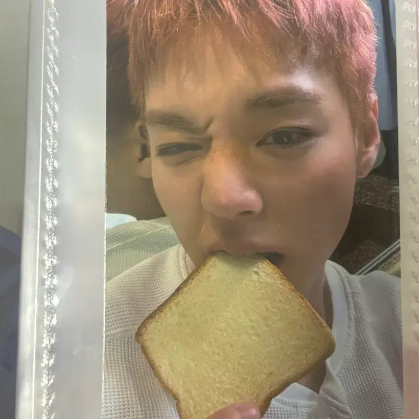 [BUNJANG] Park Jihoon Bread Photocard / 박지훈 식빵 포카