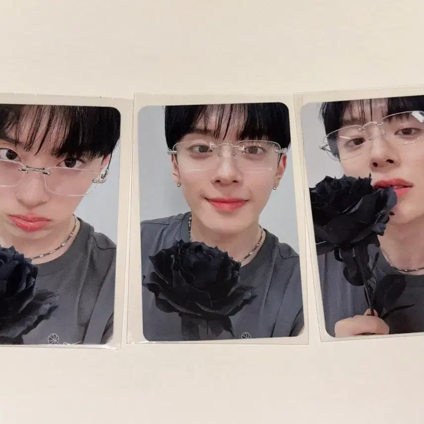[BUNJANG] VERIVERY Kangmin Lucky Draw Photocard / 베리베리 강민 유강민 프리폴링 미공포 포카 미니레코드 흑장미