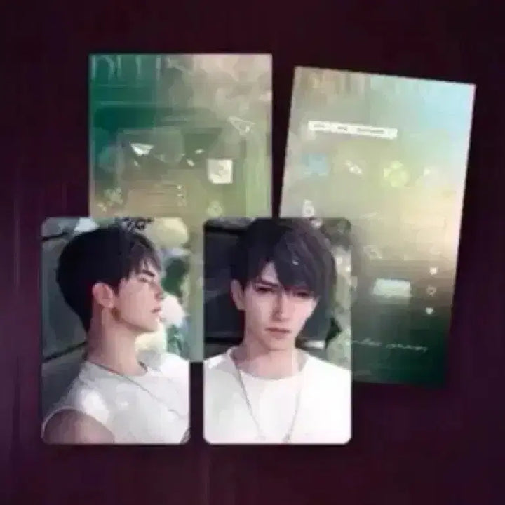 [BUNJANG] Lovdeep Howzoo Stacking Figure Photocard Bundle Set / (일괄) 럽딥 하우주 스태킹 피규어 포카