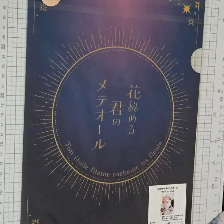 [BUNJANG] Your Meteorite Illustration A4 File / 새상품) 꽃을 숨긴 너의 유성 일러스트 A4파일