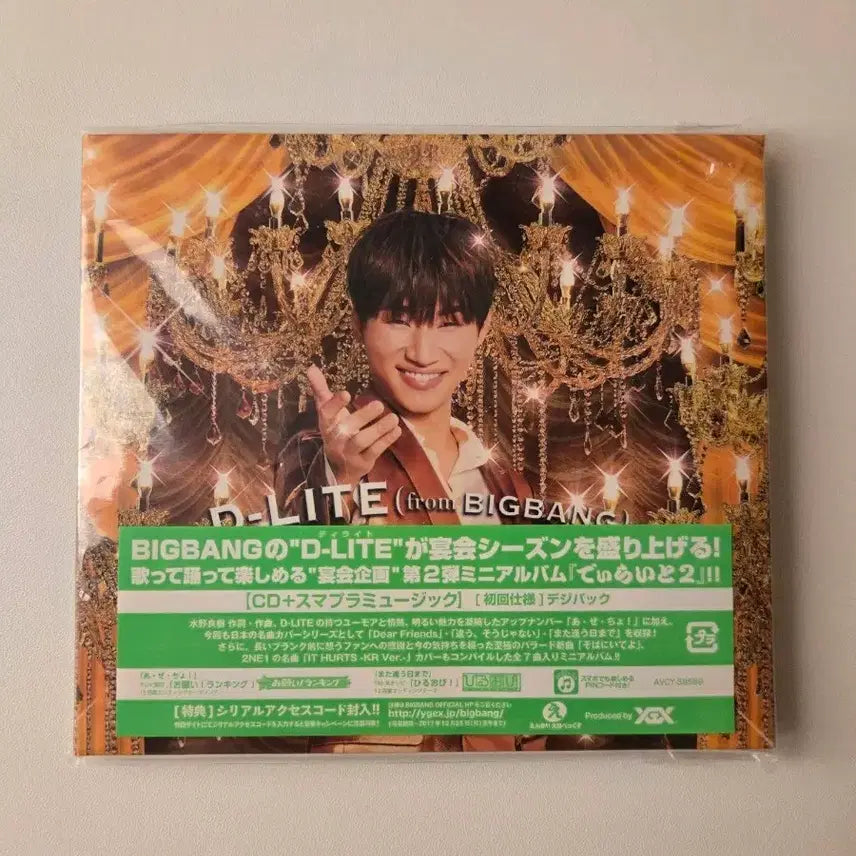 [BUNJANG] BIGBANG D-LITE D-LITE 2 Mini Album / 빅뱅 D-LITE 2 비정규 앨범