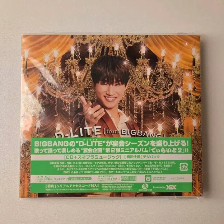 [BUNJANG] BIGBANG D-LITE D-LITE 2 Mini Album / 빅뱅 D-LITE 2 비정규 앨범
