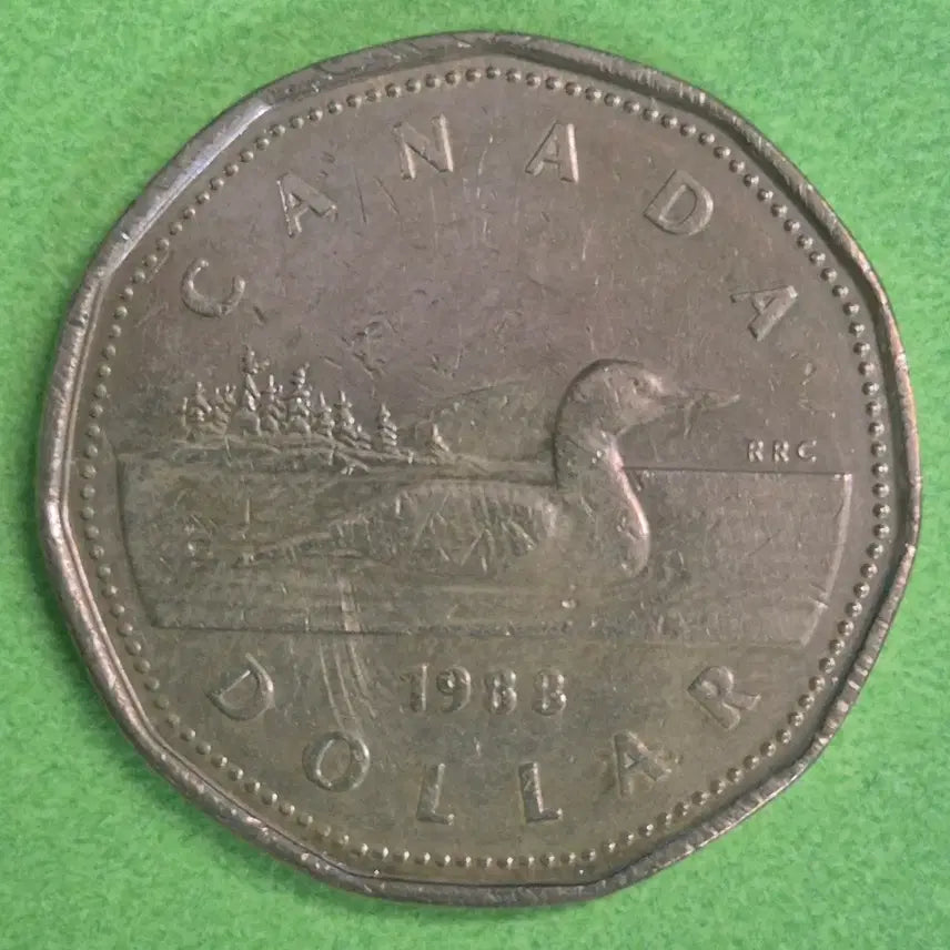 [BUNJANG] 1988 Canada 1 Dollar Coin / 1988 캐나다 1달러 동전 M3159