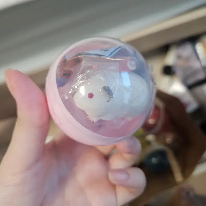[BUNJANG] Cute Gacha Goods Bundle / 가챠