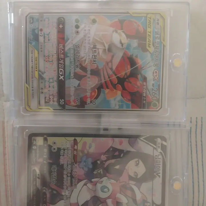 [BUNJANG] Pokemon Card Oripara / 포켓몬카드 정직한 오리파입니다