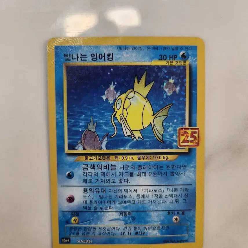 [BUNJANG] Pokemon Card Shining Magikarp / 포켓몬카드 빛나는 잉어킹