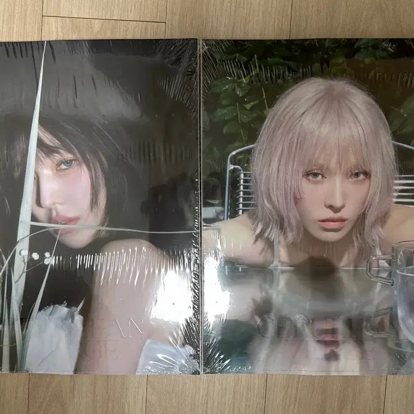 [BUNJANG] Wendy Sunkiss Album (Sealed) / 미개봉 웬디 sunkiss 앨범
