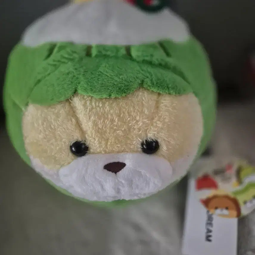 [BUNJANG] Bomdong Woosoo Woosoo Hanip Medium Plush / 봄동 우소우소 한입 중형인형
