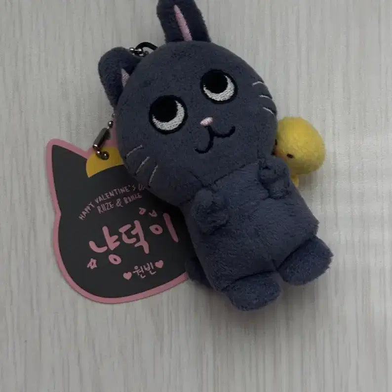 [BUNJANG] RIIZE Wonbin 1st Gen Tiny Cat 10cm Plush / 라이즈 원빈 1기 토냥덕 10cm