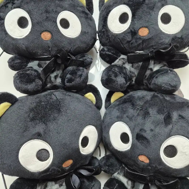 [BUNJANG] Sanrio Chococat Medium Plush Doll / 정품) 산리오 초코캣 중형인형 새제품