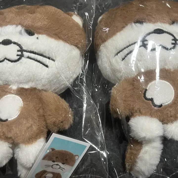 [BUNJANG] BOYNEXTDOOR - Boynextdoor Photocard &amp; Goods / 보넥도 쁘넥도 캣삐 달링이 명명이 탯풍이 삼한이 운아기
