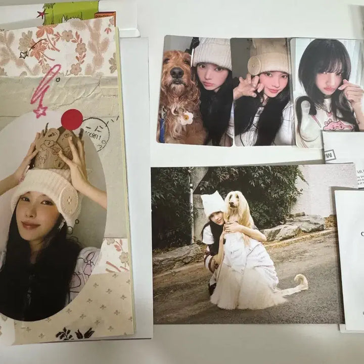 [BUNJANG] ILLIT &