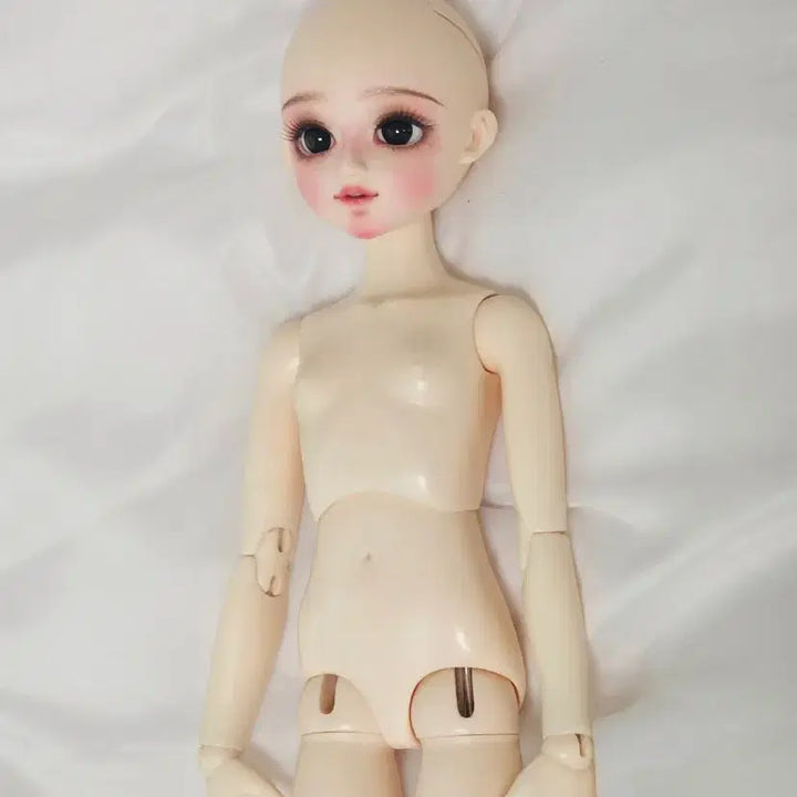 [BUNJANG] BJD MSD Body (Fanta Root) Unsealed / 구체관절인형 MSD 막본체